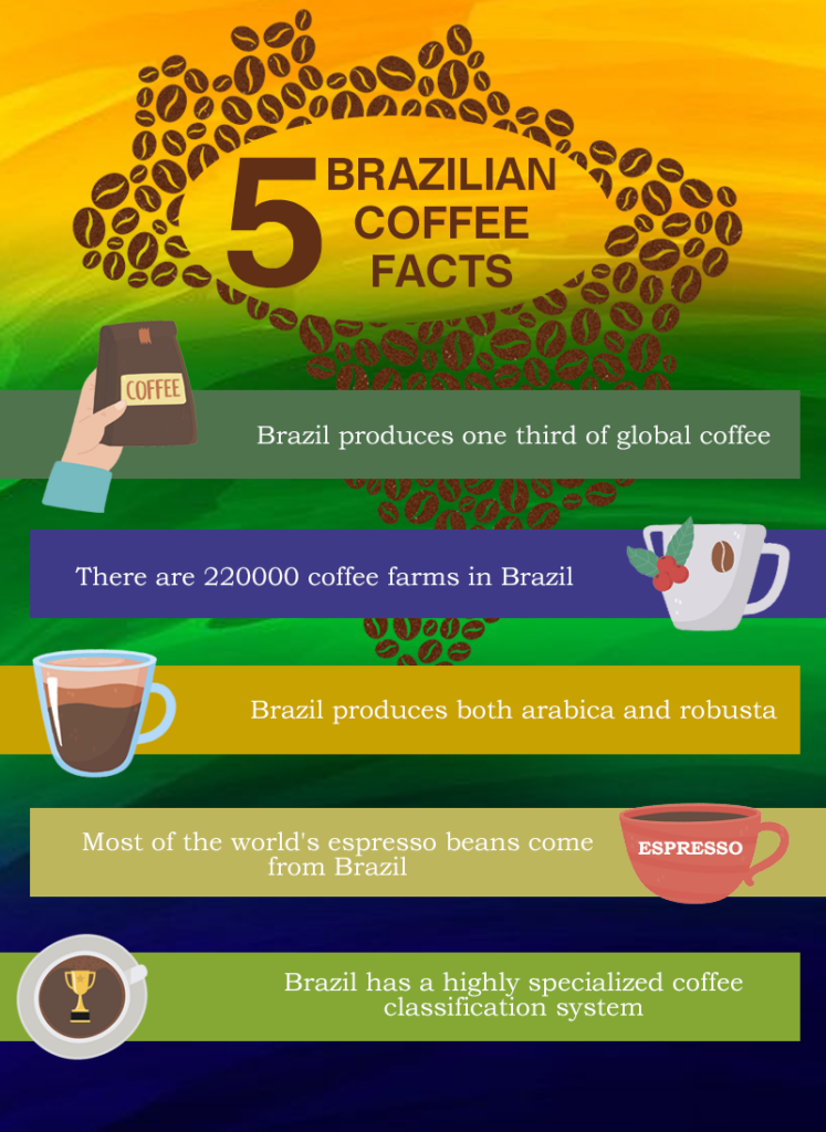 brazilian coffee facts